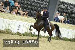 24R13_16889 thumbnail