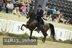 24R13_16890 thumbnail