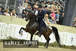 24R13_16891 thumbnail