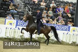 24R13_16893 thumbnail