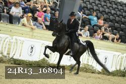 24R13_16894 thumbnail