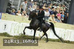 24R13_16895 thumbnail