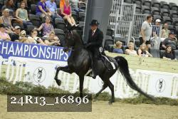 24R13_16896 thumbnail