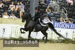 24R13_16898 thumbnail