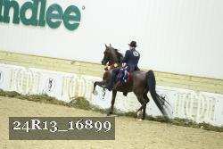24R13_16899 thumbnail