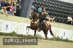 24R13_16902 thumbnail