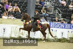 24R13_16905 thumbnail