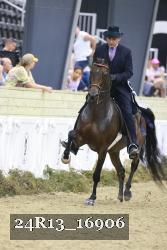 24R13_16906 thumbnail