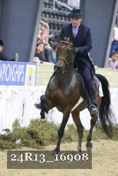 24R13_16908 thumbnail
