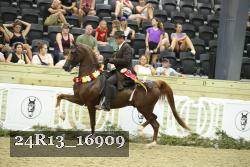 24R13_16909 thumbnail