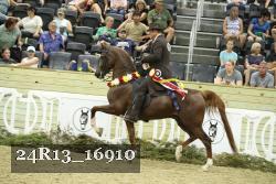 24R13_16910 thumbnail