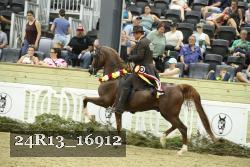 24R13_16912 thumbnail