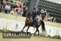 24R13_16914 thumbnail