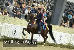 24R13_16915 thumbnail