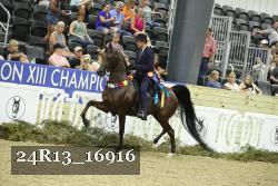 24R13_16916 thumbnail