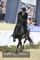 24R13_16917 thumbnail