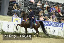 24R13_16919 thumbnail