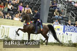 24R13_16920 thumbnail
