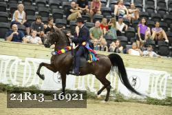 24R13_16921 thumbnail