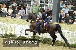 24R13_16923 thumbnail