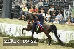24R13_16924 thumbnail