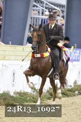 24R13_16927 thumbnail