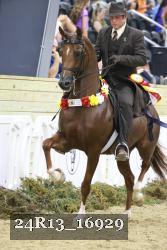 24R13_16929 thumbnail