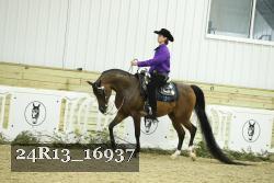24R13_16937 thumbnail