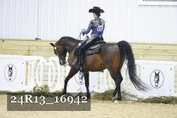 24R13_16942 thumbnail
