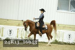 24R13_16943 thumbnail