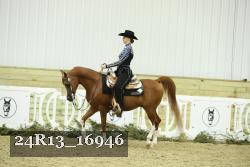 24R13_16946 thumbnail