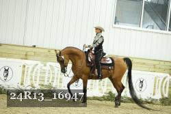 24R13_16947 thumbnail