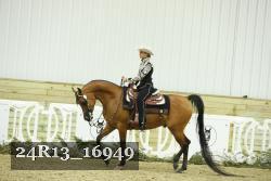 24R13_16949 thumbnail