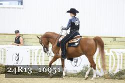 24R13_16951 thumbnail