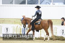 24R13_16952 thumbnail