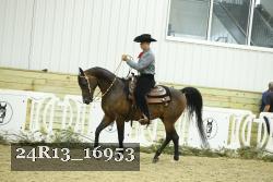 24R13_16953 thumbnail