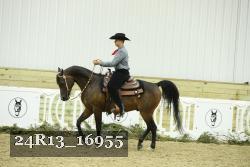24R13_16955 thumbnail