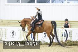 24R13_16956 thumbnail