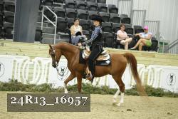 24R13_16957 thumbnail