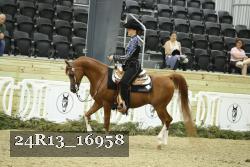 24R13_16958 thumbnail