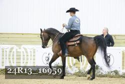 24R13_16959 thumbnail