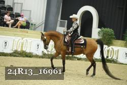 24R13_16961 thumbnail