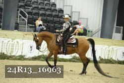 24R13_16963 thumbnail