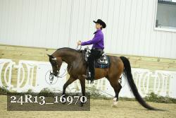 24R13_16970 thumbnail