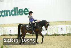24R13_16975 thumbnail