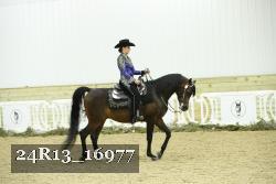 24R13_16977 thumbnail