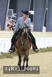 24R13_16981 thumbnail
