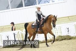 24R13_16989 thumbnail