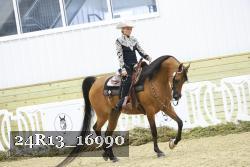 24R13_16990 thumbnail