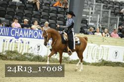 24R13_17008 thumbnail